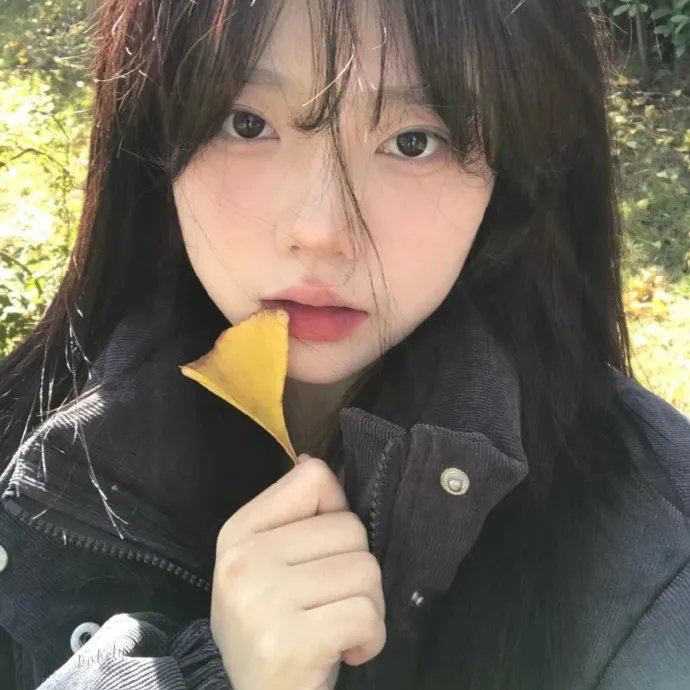 小猫熊历险记