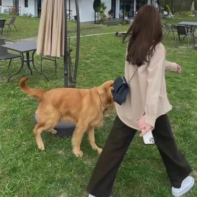 缩小人